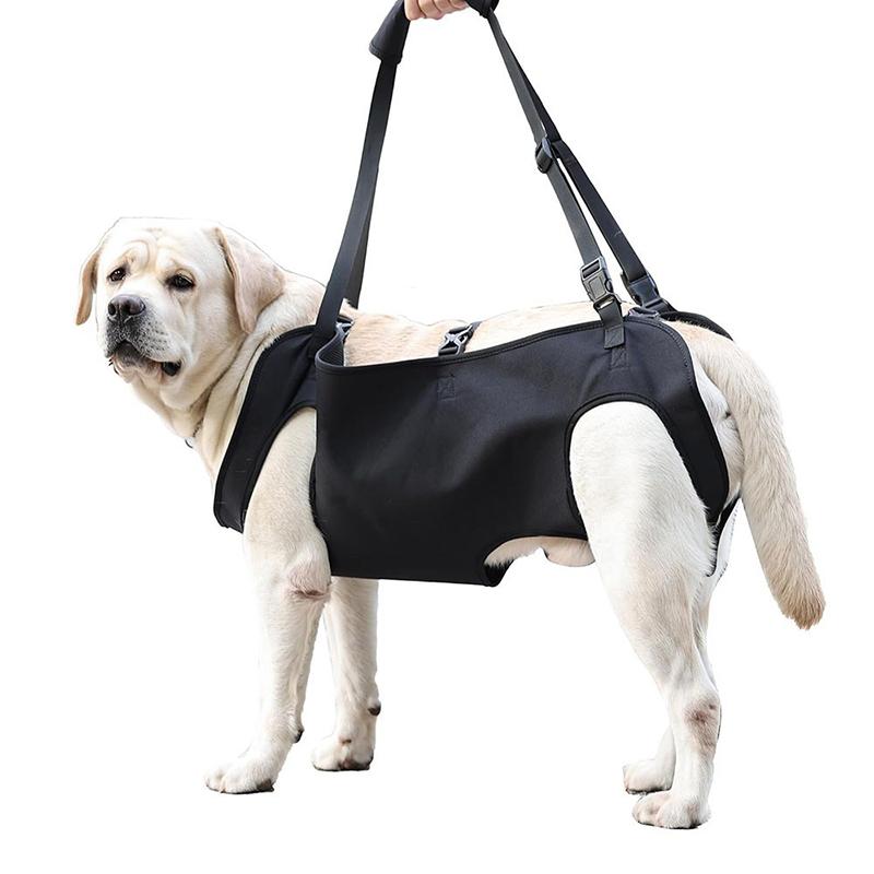 Harness Climbing Adjustable - Coleira de Assistência para Cães Idosos,
