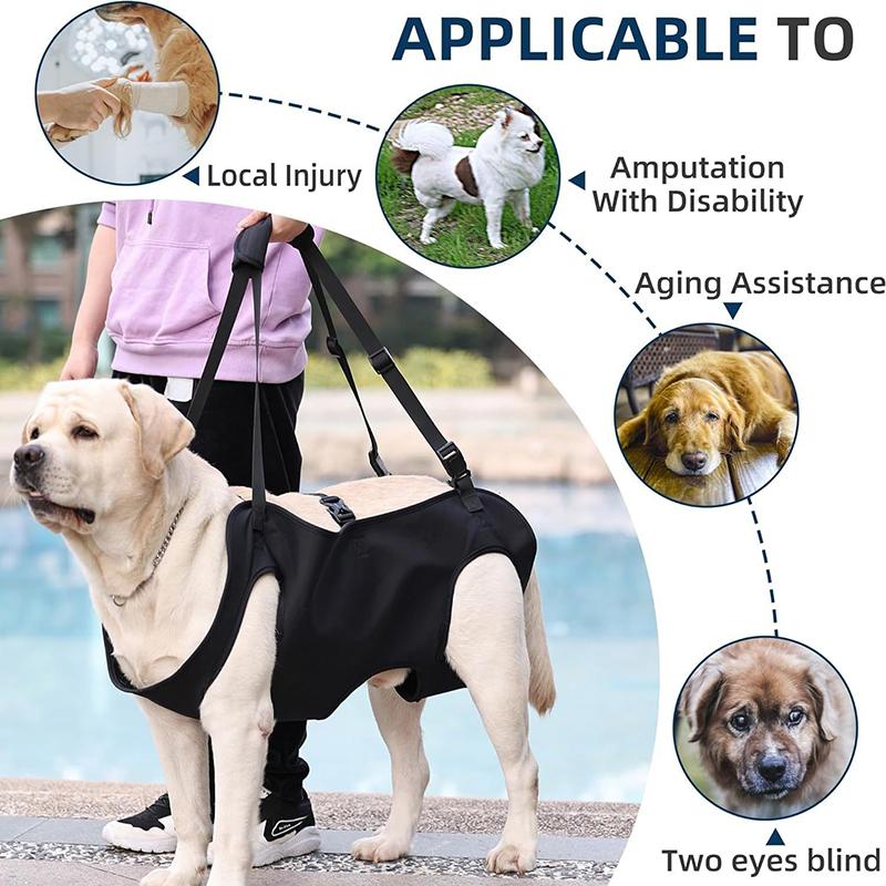 Coleira de Assistência para Cã - Harness Climbing Adjustable avaliação e preço