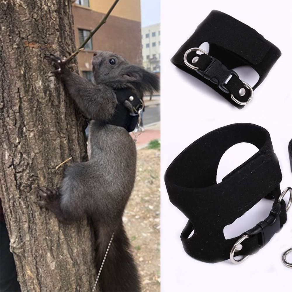 Conjunto de Coleira e Guia Aju - Harness Climbing Adjustable avaliação e preço