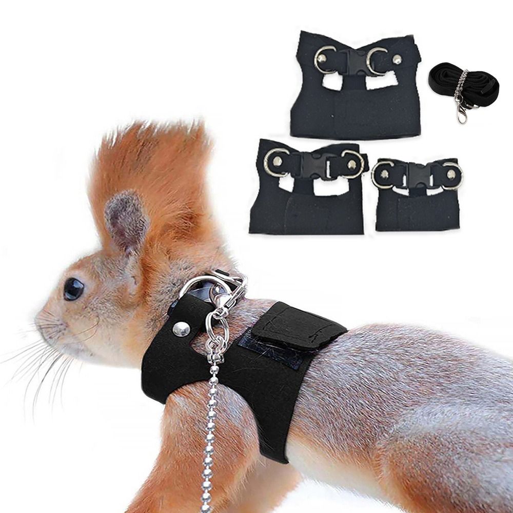 Conjunto de Coleira e Guia Aju - Harness Climbing Adjustable avaliação e preço